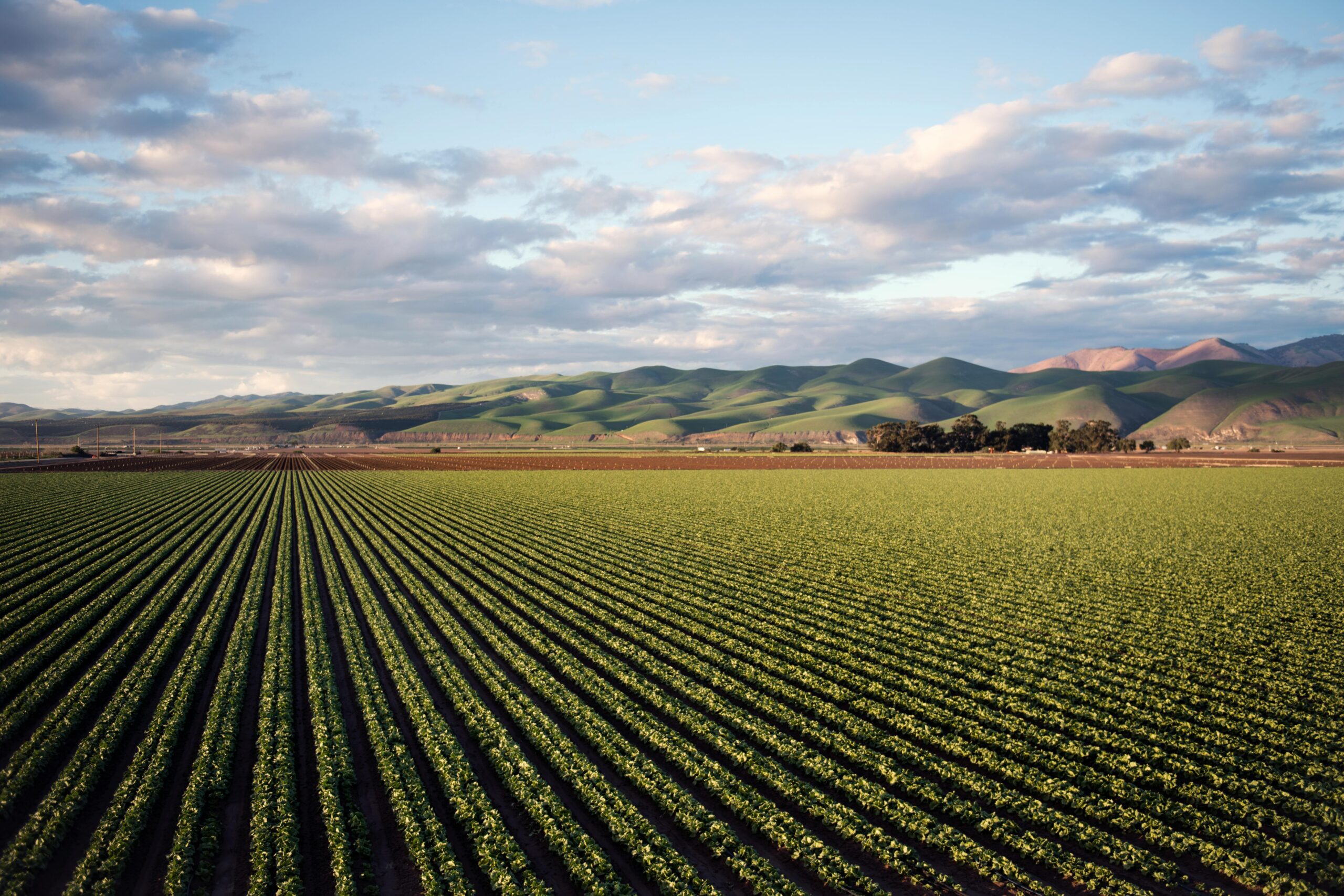 Agricultural site security Monterey County CA